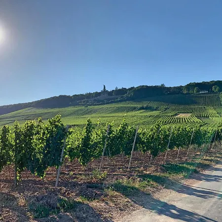 Appartamento Zum Malerwinkel - Ruedesheim Rüdesheim am Rhein