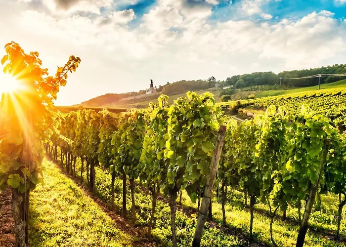 Zum Malerwinkel - Ruedesheim Apartment *