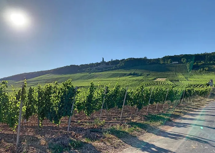 Apartment Zum Malerwinkel - Ruedesheim Ruedesheim am Rhein